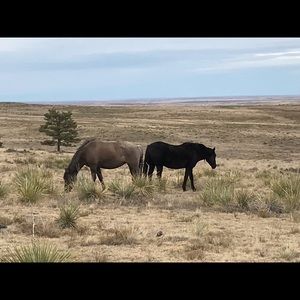 Meet your Posher, Annette